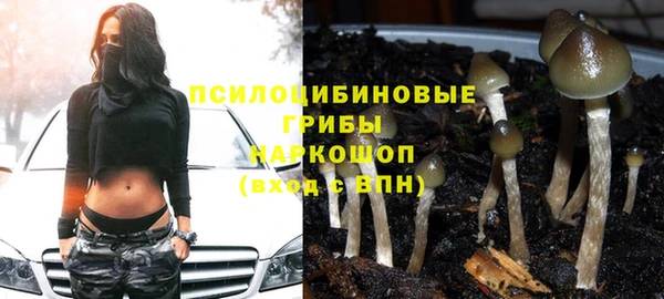 трава Алексин