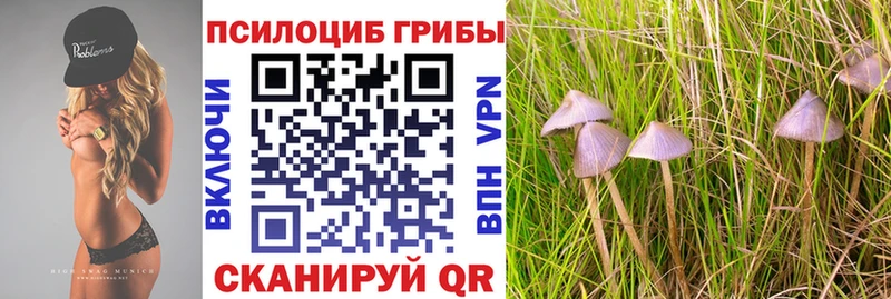 Псилоцибиновые грибы Magic Shrooms  закладка  Москва 